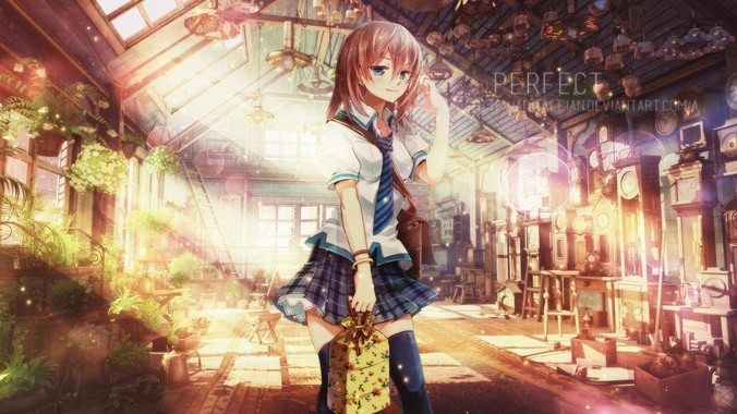 Golang 的 Web 框架该怎么选择?Web 开发又该怎样学?